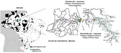 Contextual Factors and Motor Skills in Indigenous Amazon Forest and Urban Indigenous Children